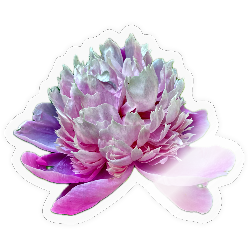 .... ::::: ::::: ::: - transparent glossy