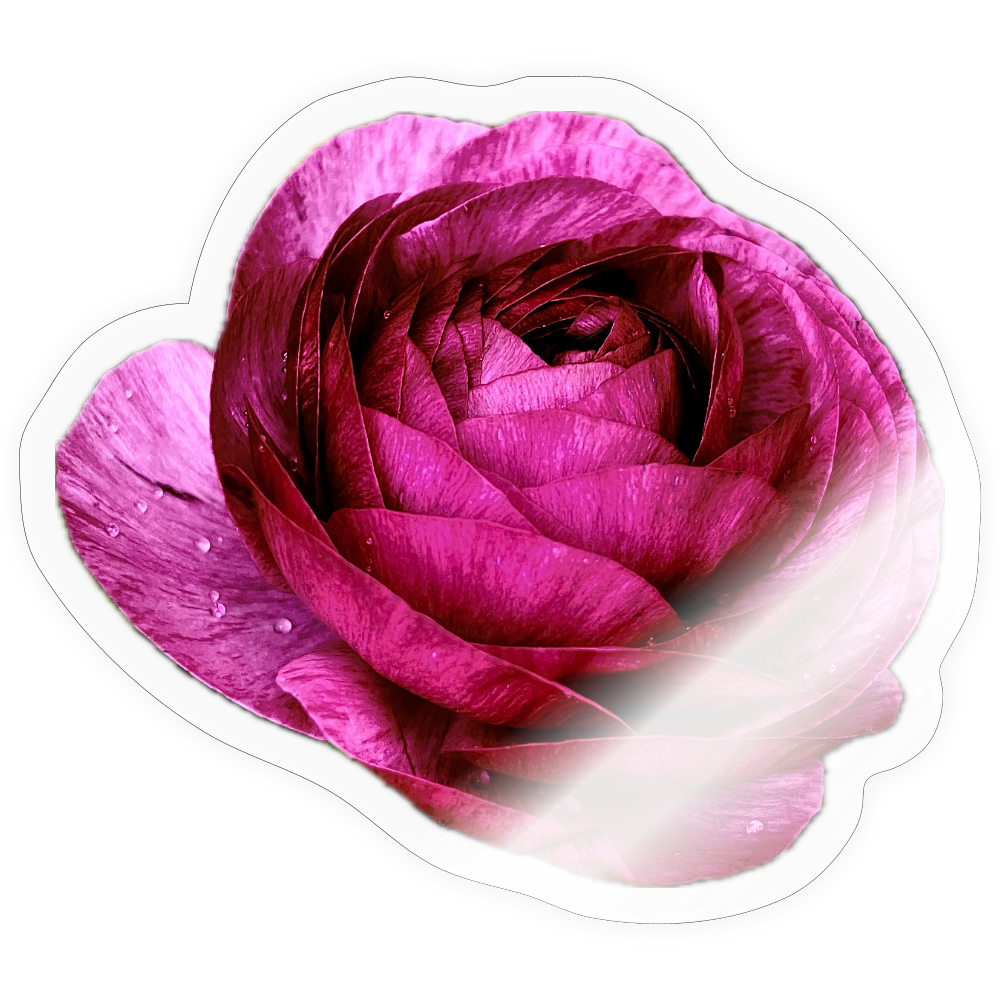 Sticker - transparent glossy