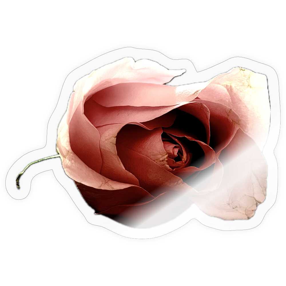 . ::::: - transparent glossy