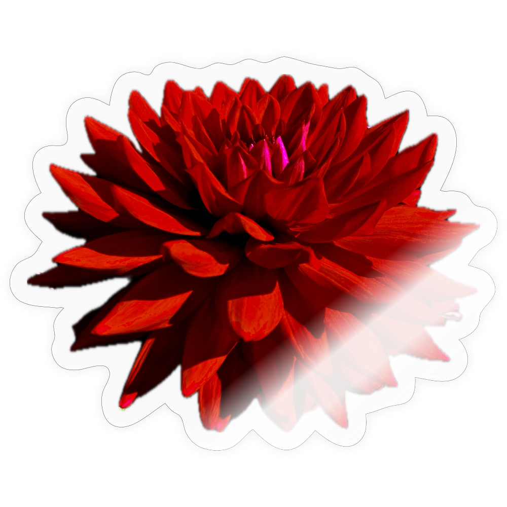 ..... ::::: ::::: :::: - transparent glossy
