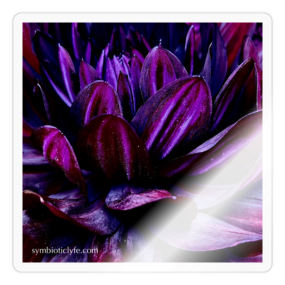 ::::: ::::: ::::: ::::: :: - transparent glossy