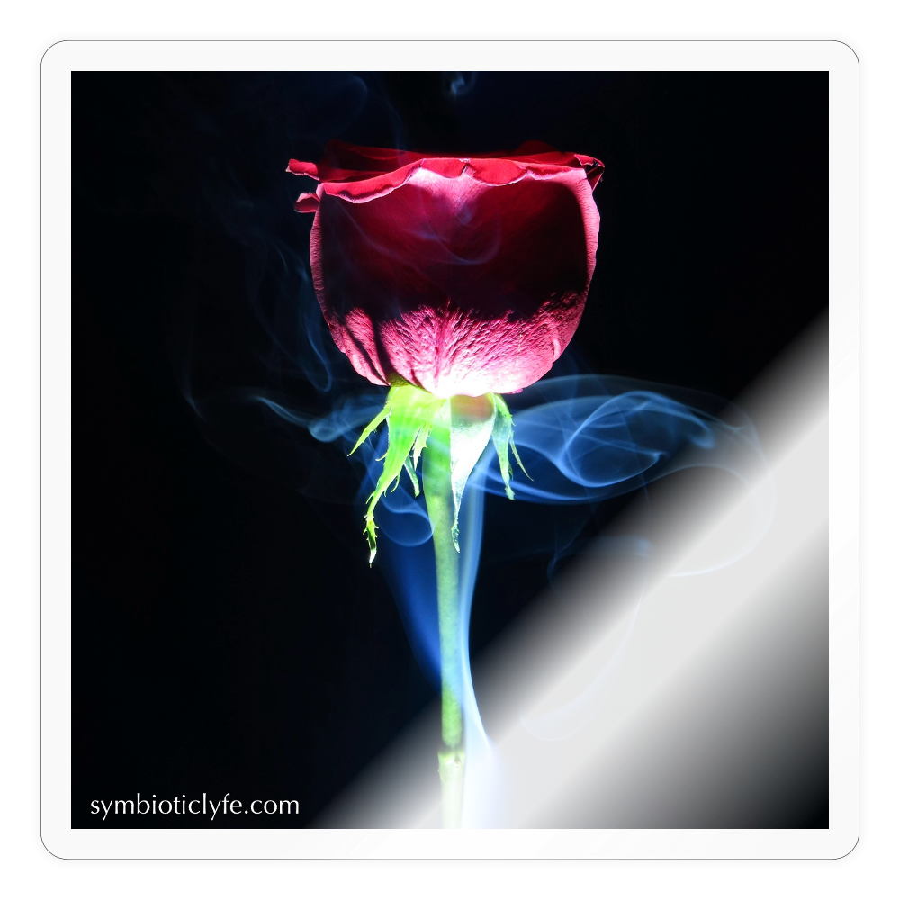 Smoke & Roses :: - transparent glossy