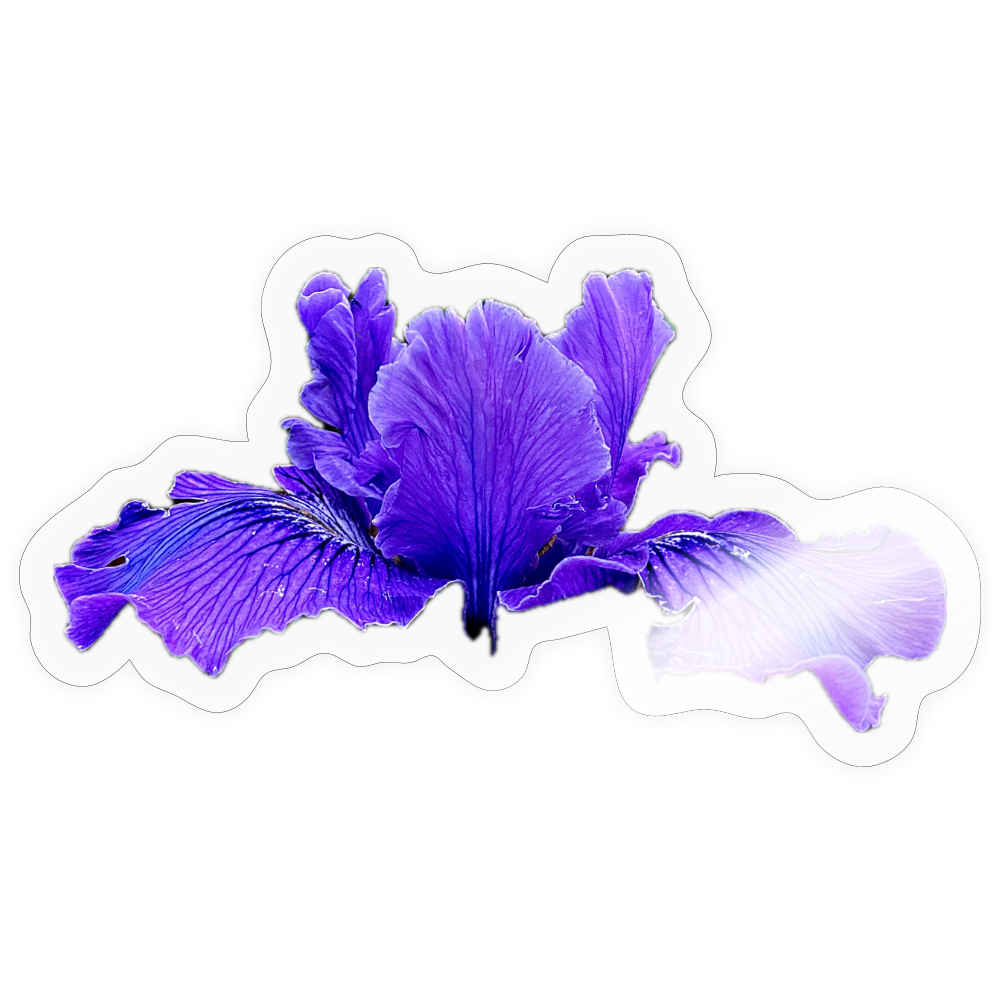 . ::::: ::::: ::::: ::::: ::::: - transparent glossy