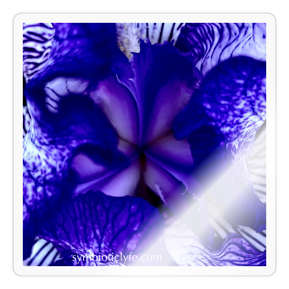 ::::: ::::: ::::: ::: - transparent glossy