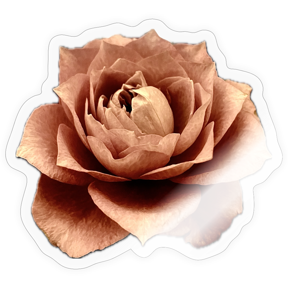 ::::: ::::: ::::: ::::: ::::: ::::: :::: - transparent glossy