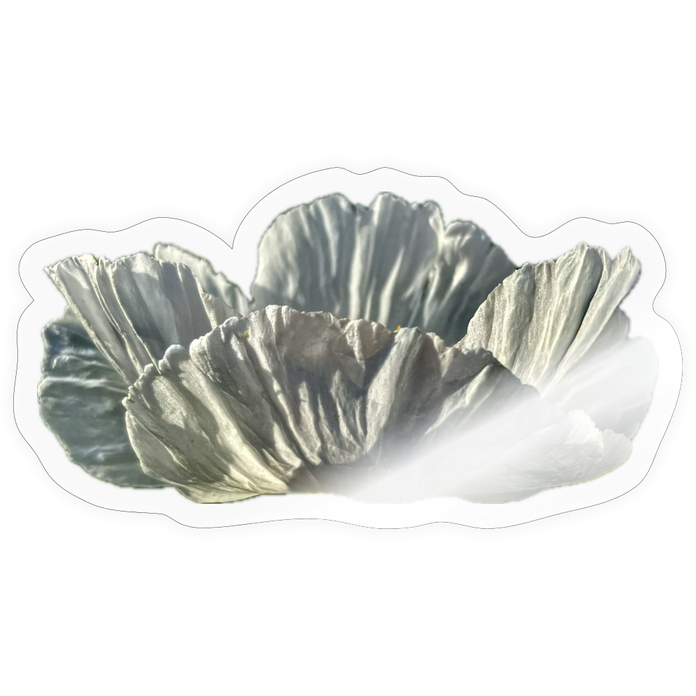 .... ::::: :::: - transparent glossy
