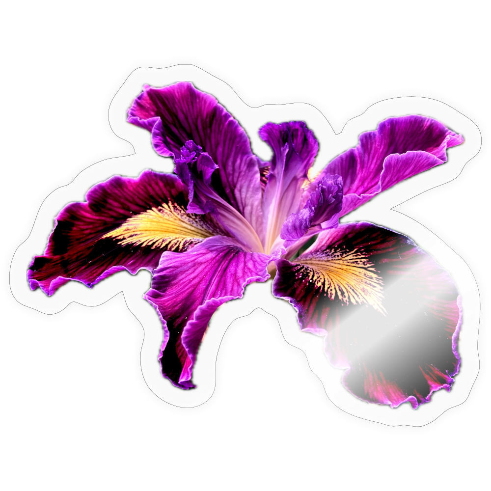 . ::::: ::::: ::::: ::::: : - transparent glossy