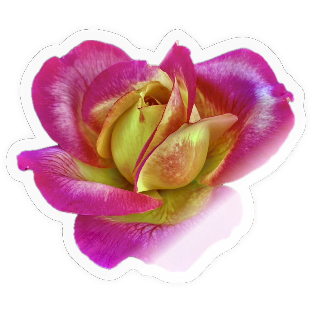 .... ::::: ::::: ::::: : - transparent glossy