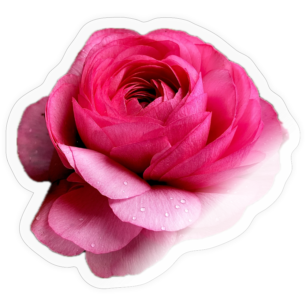 Sticker - transparent glossy