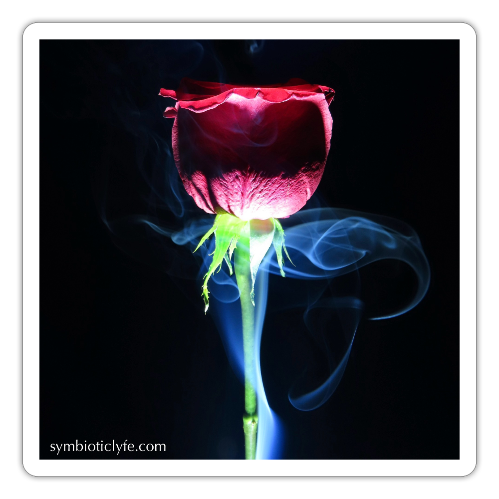 Smoke & Roses :: - white matte