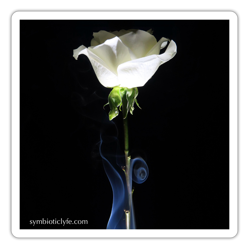 Smoke & Roses : - white matte