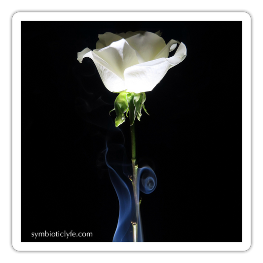 Smoke & Roses : - white matte