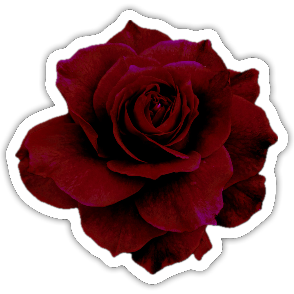 ... ::::: ::::: :: - white matte