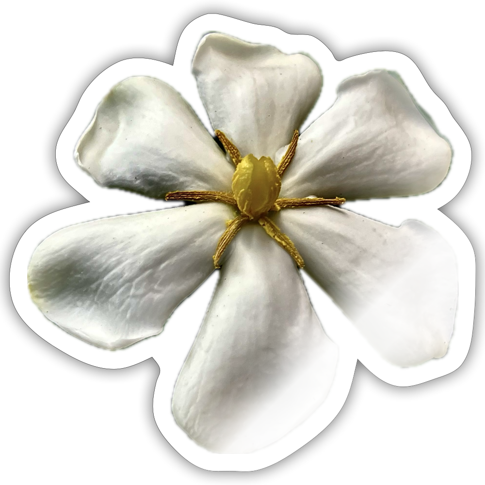 ... ::::: ::::: :::: - white glossy