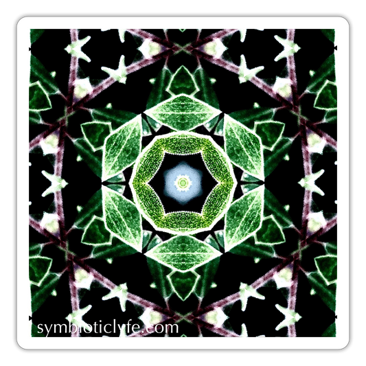 :::::  :::::  :::::  ::: - white matte