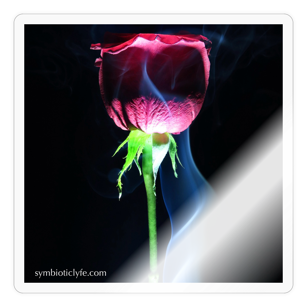 Smoke & Roses :::: - transparent glossy