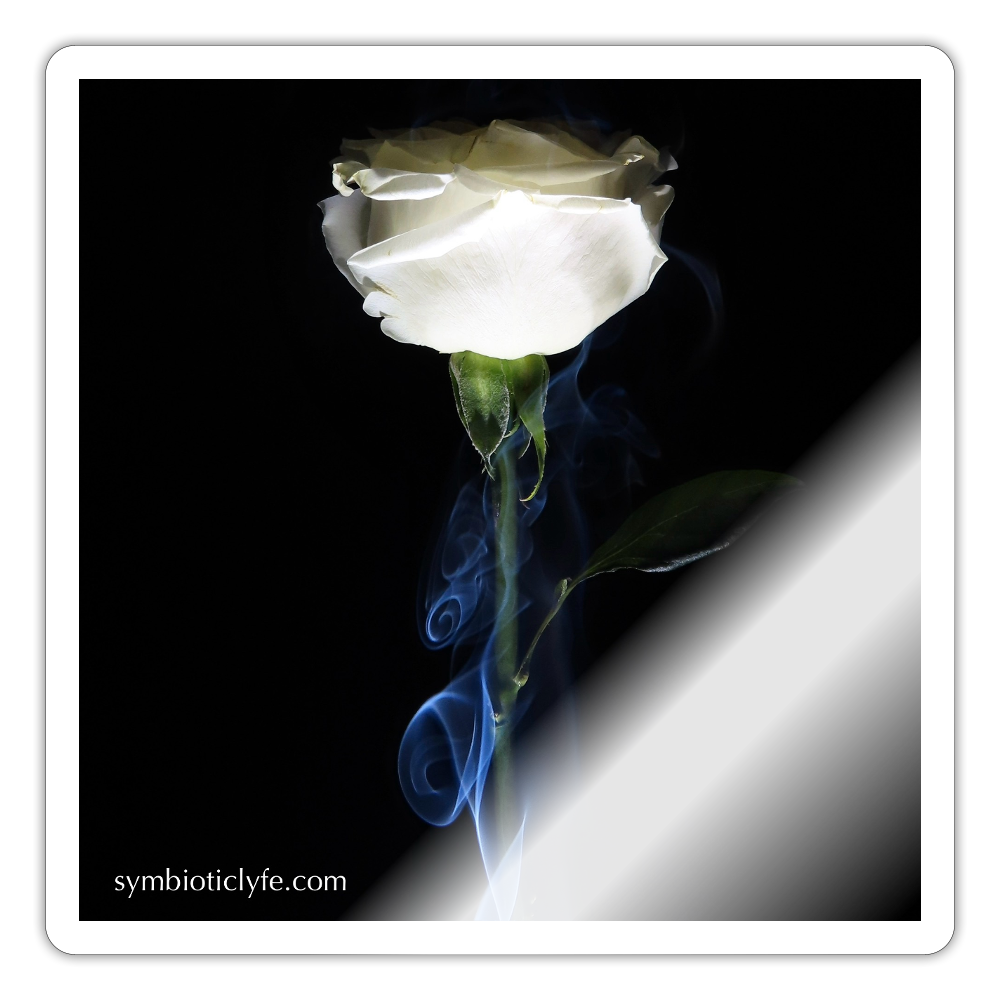 Smoke & Roses :::::  :::: - white glossy