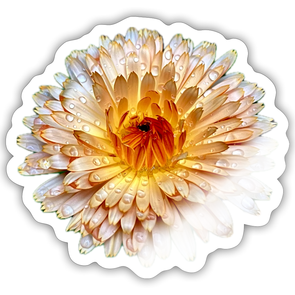 ... ::::: ::::: ::::: - white glossy