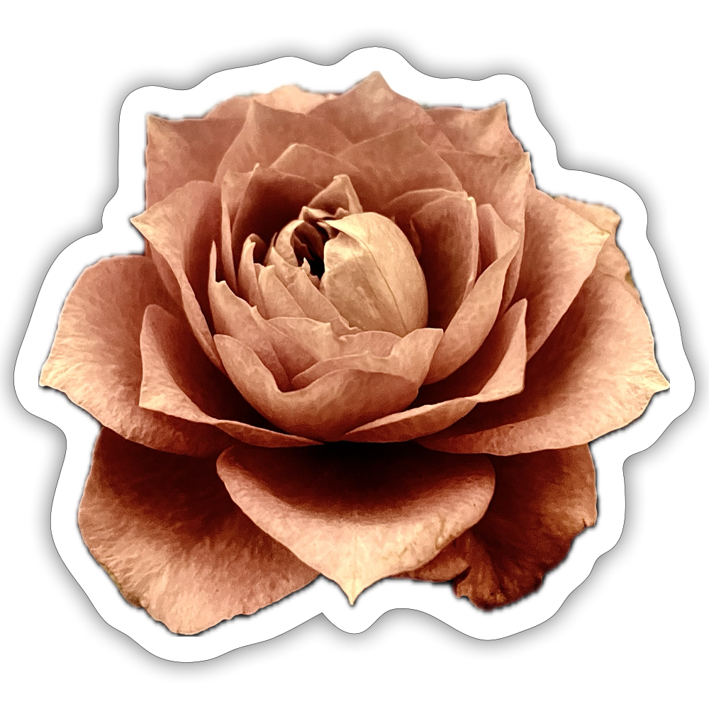 :::::  :::::  :::::  :::::  :::::  :::::  :::: - white matte