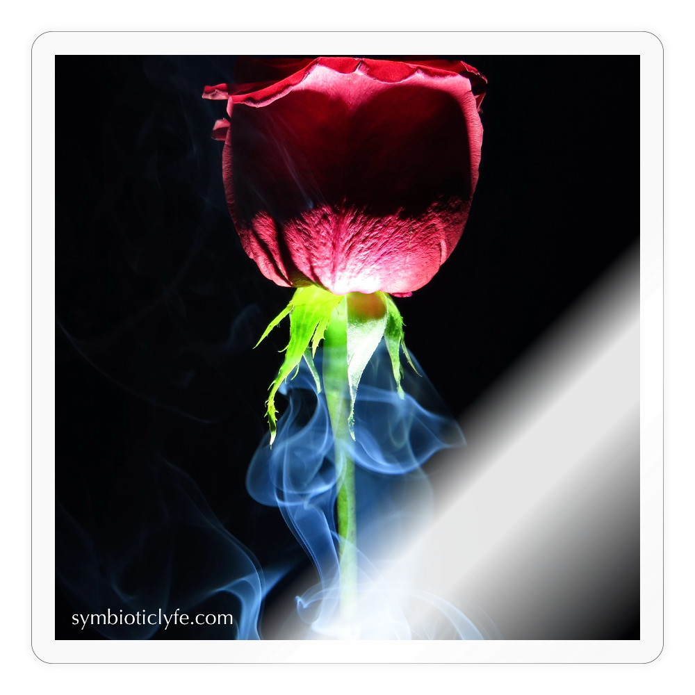 Smoke & Roses ::: - transparent glossy