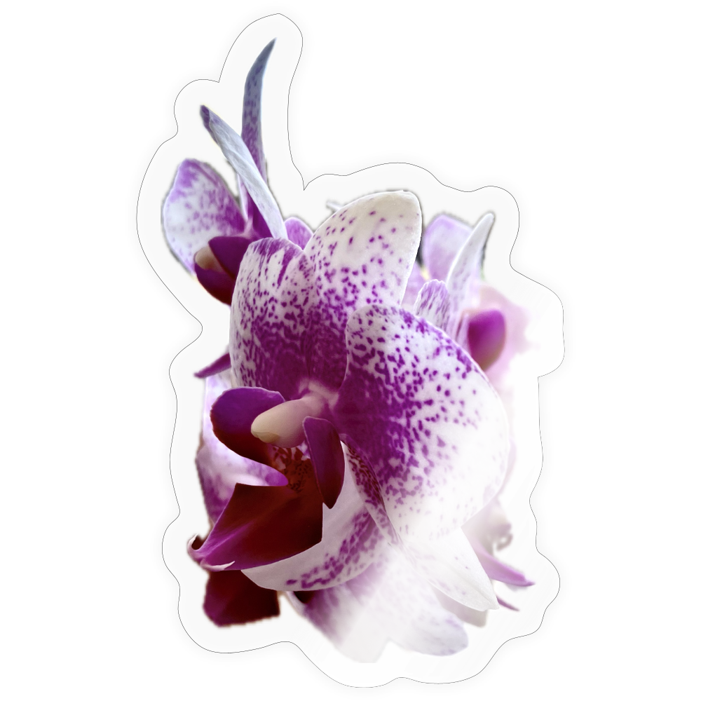 ..... :: - transparent glossy
