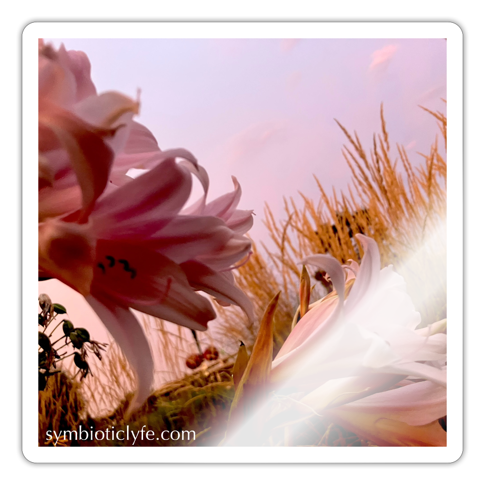 :::::  : - white glossy