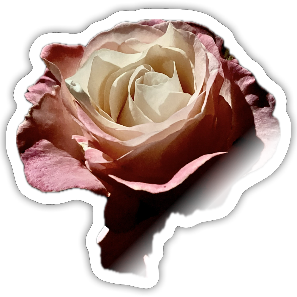 .... ::::: ::::: : - white glossy