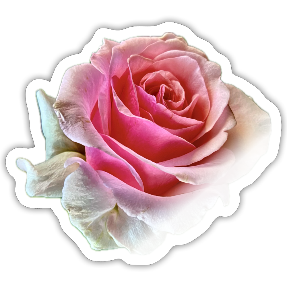 .... :::: - white glossy