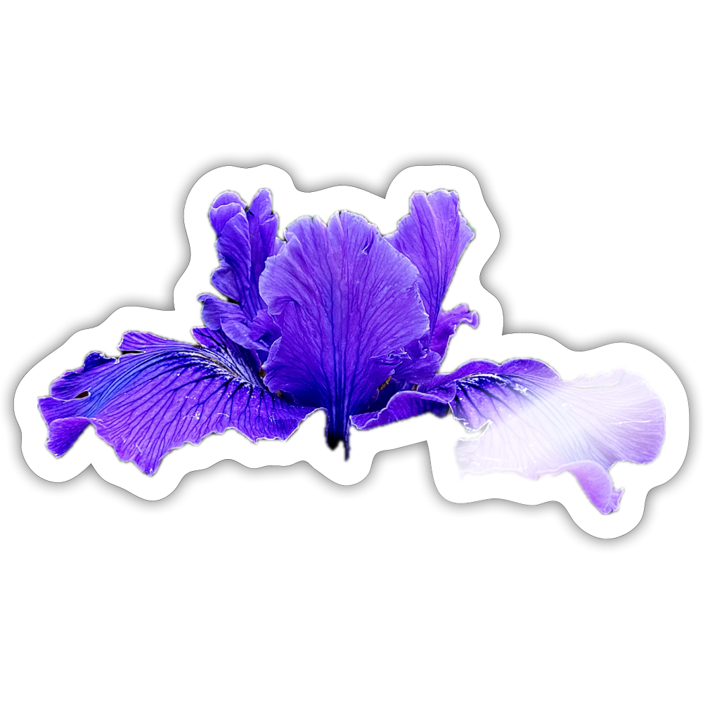 . ::::: ::::: ::::: ::::: ::::: - white glossy