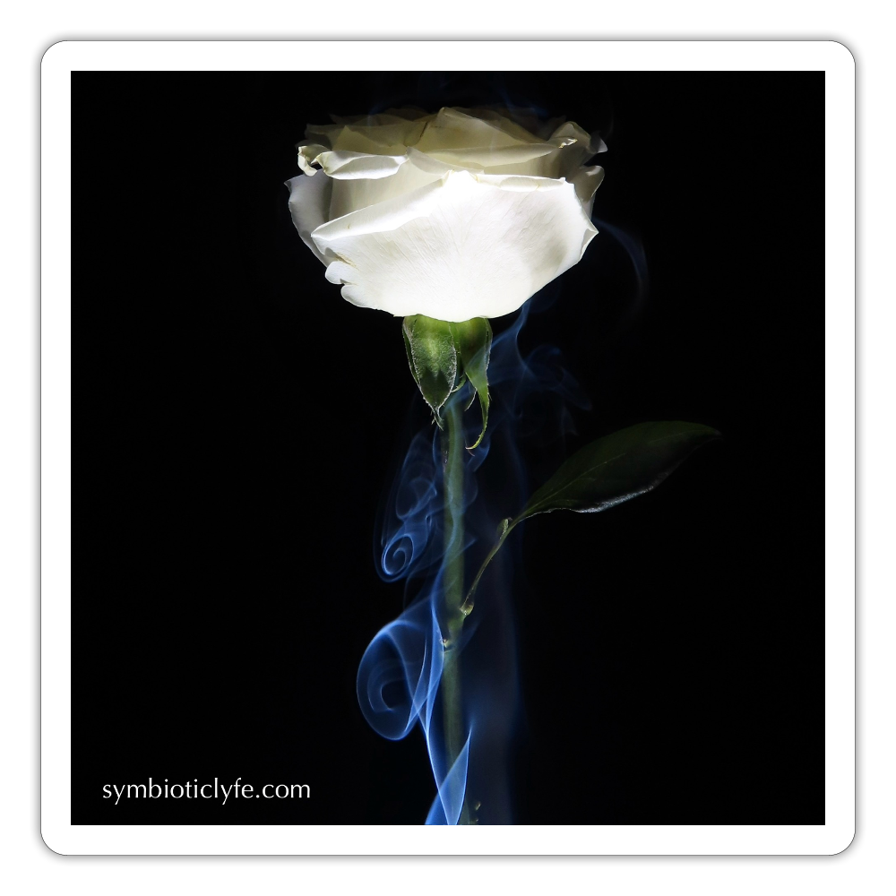 Smoke & Roses :::::  :::: - white matte