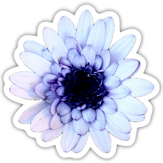 . ::::: ::::: ::::: ::::: - white matte