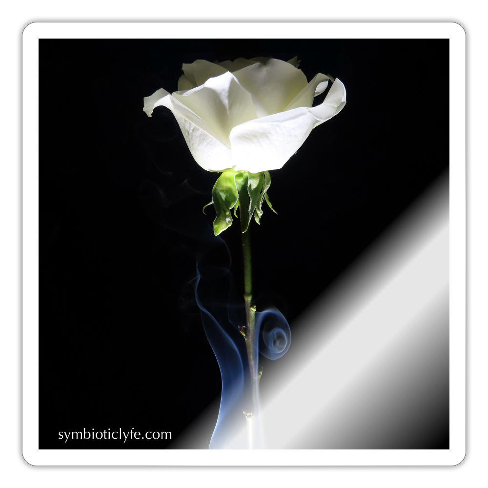 Smoke & Roses : - white glossy