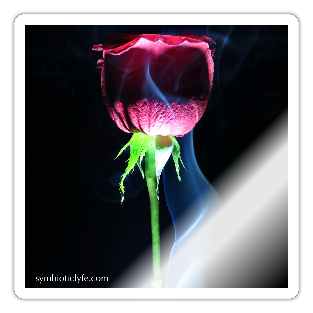 Smoke & Roses :::: - white glossy