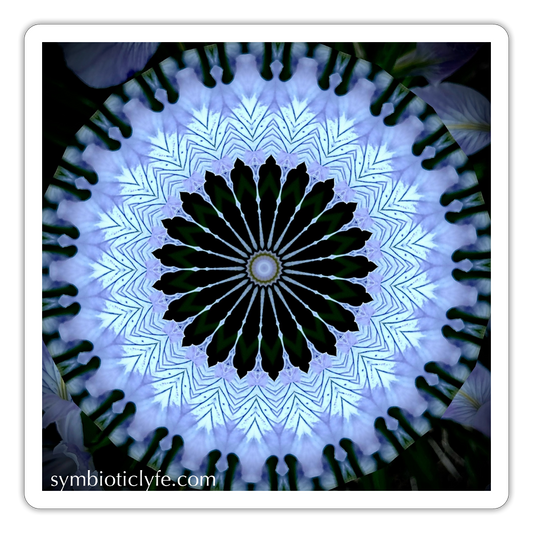 :::::  :::::  : - white matte