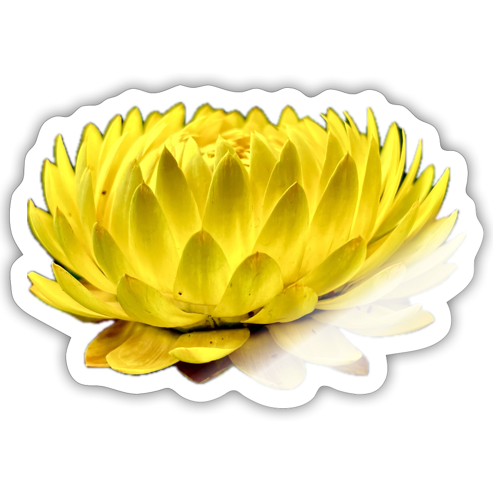 .... :: - white glossy