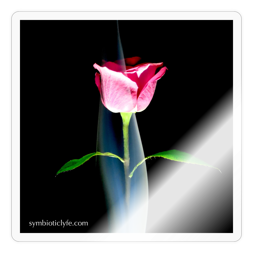 Smoke & Roses :::::  ::: - transparent glossy