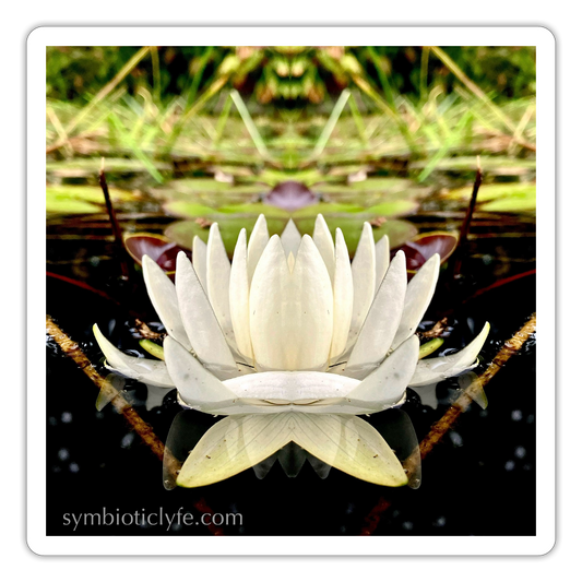 :::::  :::::  :::::  :: - white matte