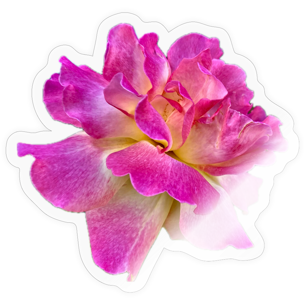 ..... ::::: ::::: :: - transparent glossy