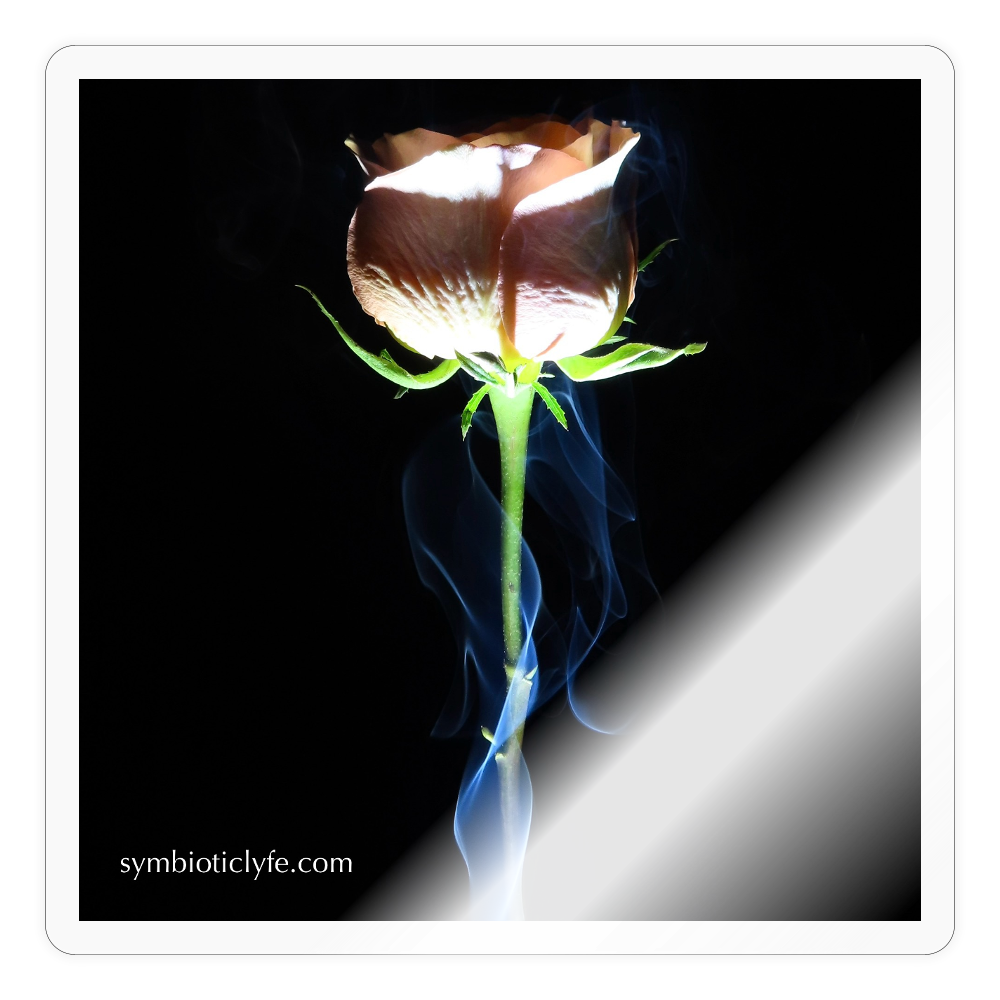 Smoke & Roses ::::: - transparent glossy