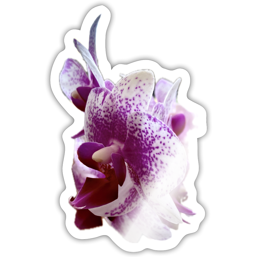 ..... :: - white glossy