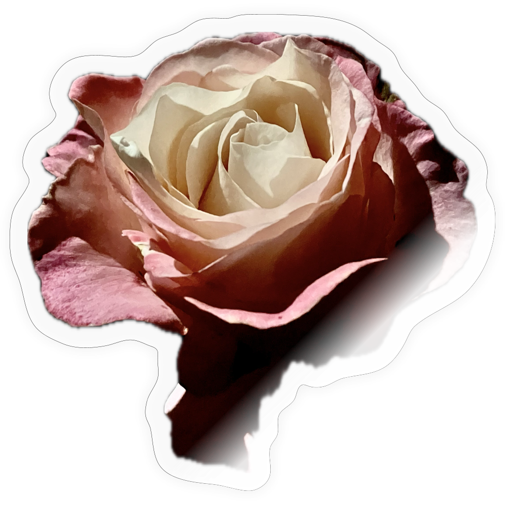 .... ::::: ::::: : - transparent glossy