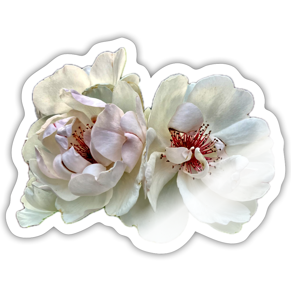 ..... ::::: ::: - white glossy