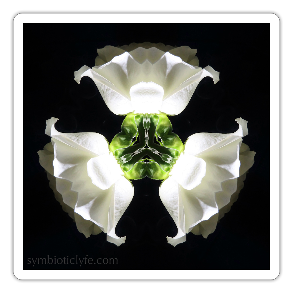:::::  :::::  :::::  ::: - white matte