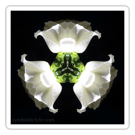 :::::  :::::  :::::  ::: - white matte