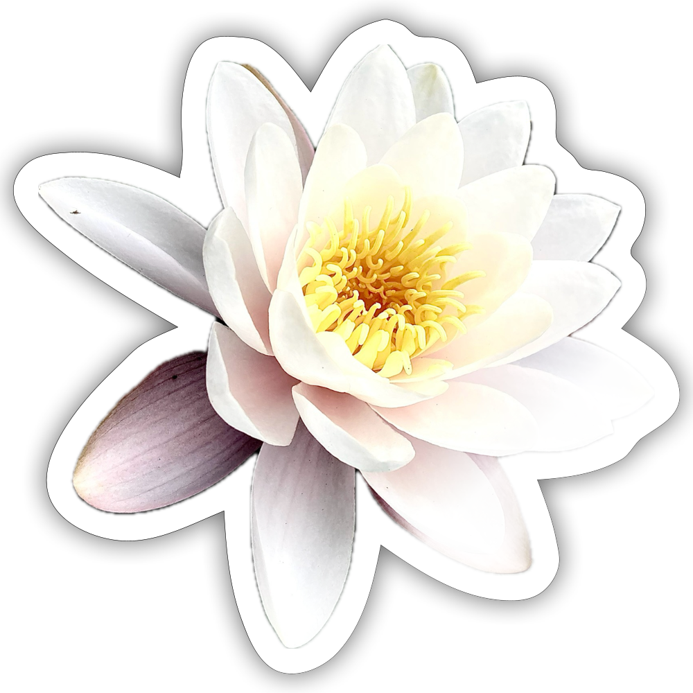 ... ::::: ::: - white glossy