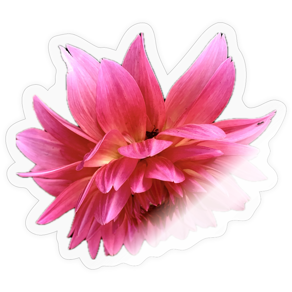... ::: - transparent glossy