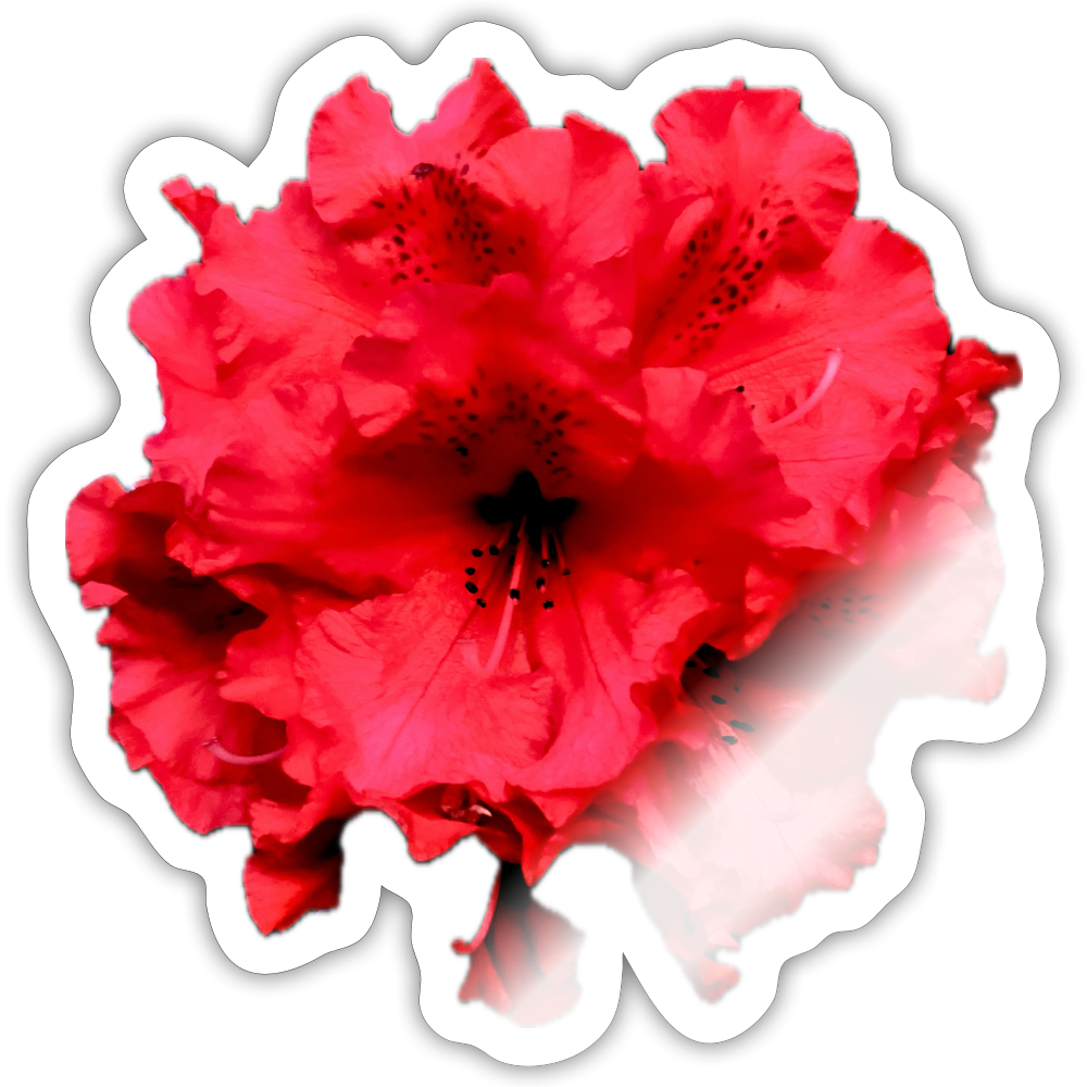 Sticker - white glossy