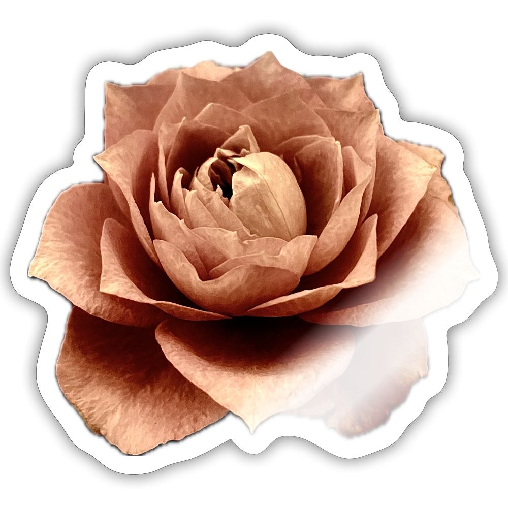 :::::  :::::  :::::  :::::  :::::  :::::  :::: - white glossy