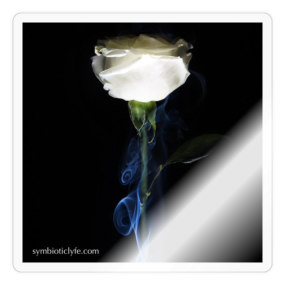 Smoke & Roses :::::  :::: - transparent glossy