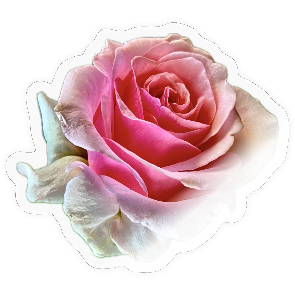 .... :::: - transparent glossy